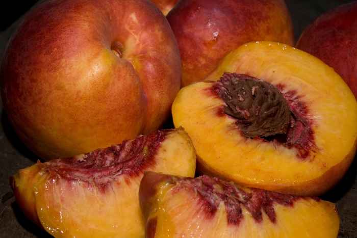 Nectarine Fantasia - Prunus persica var. nuci-persica 'Fantasia' from Sloat Gardens